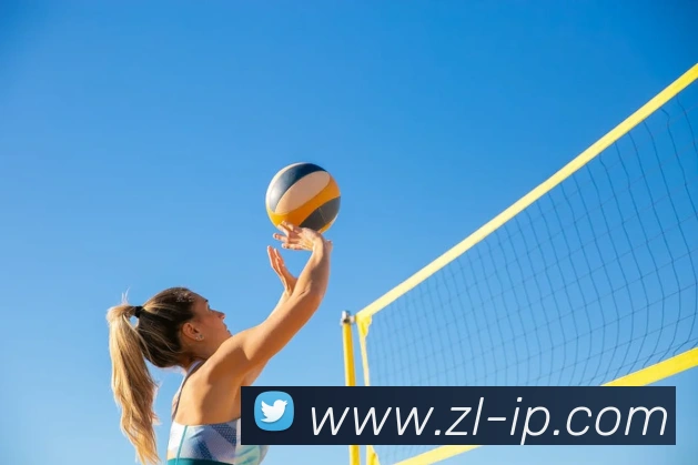 数据分析功能
